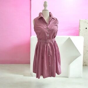 Women's Pink Gingham Button-Front Shirt Dress
